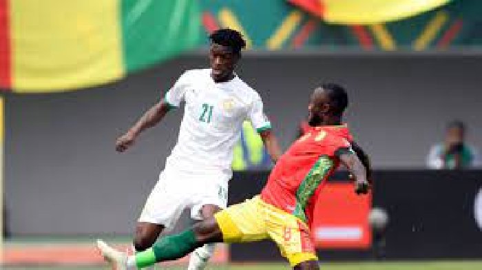 Tip bóng đá Guinea vs Senegal, 0h00 ngày 24/1