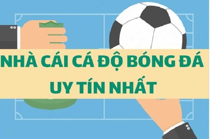 Top 8 trang cá độ bóng đá uy tín nhất trên thị trường Việt Nam năm 2023