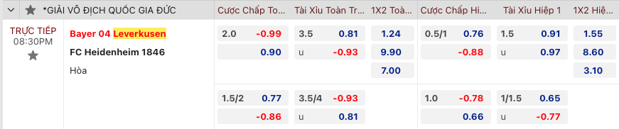 Nhận định bóng đá Leverkusen vs Heidenheimer, 20h30 ngày 24/9 - Ảnh 2