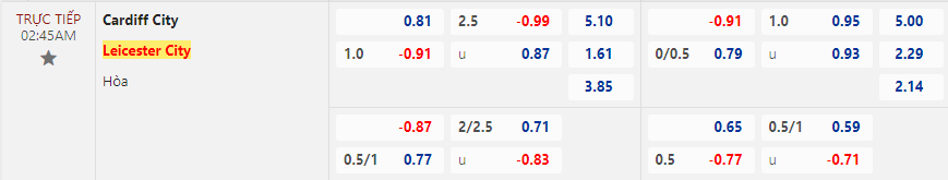 Tip bóng đá Cardiff City vs Leicester City, 2h45 ngày 30/12 - Ảnh 2
