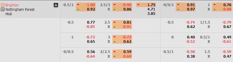 Tip Bóng Đá Brighton vs Nottingham, 20h00 ngày 22/9 - Ảnh 5